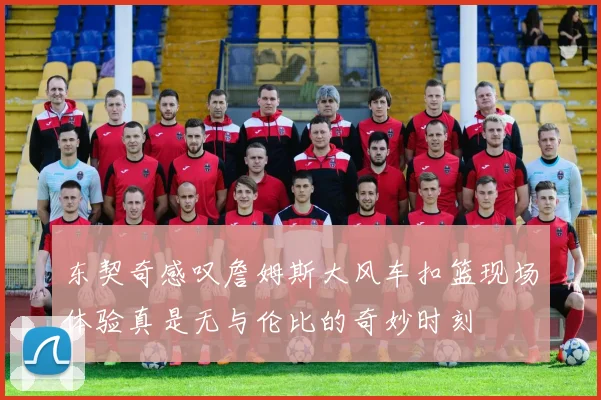 东契奇感叹詹姆斯大风车扣篮现场体验真是无与伦比的奇妙时刻